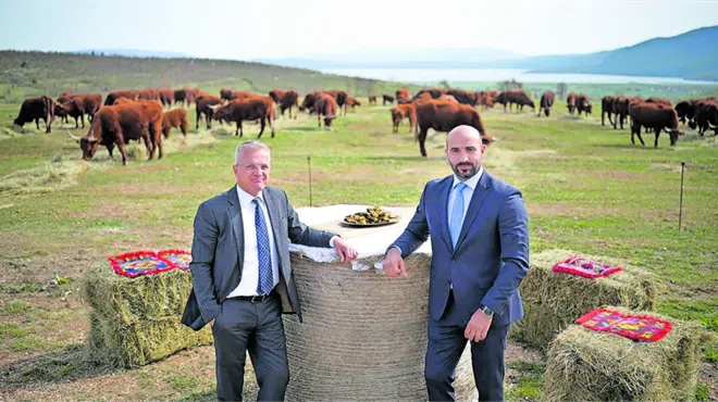 Farmer Iz Livna Zvijezda Izbora Za Sabor Rh Covjek Iz