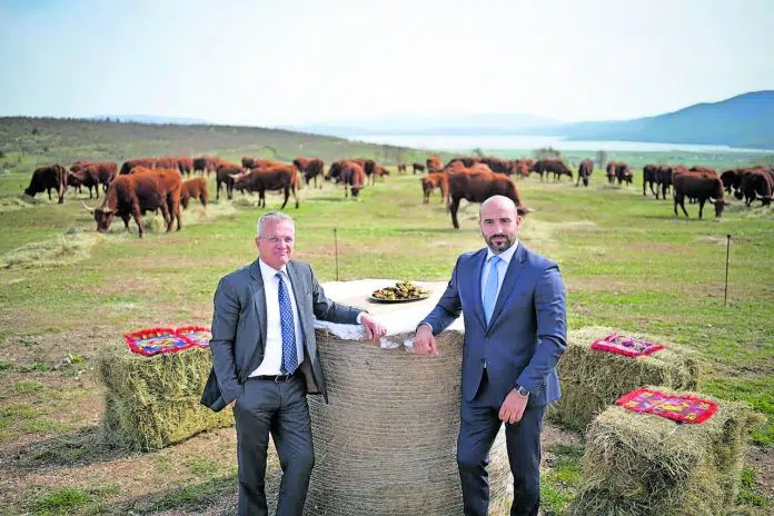 MATE OMAZIĆ / Ne plašim se Sabora, nisam se plašio Mate Omazic Ne Plasim Se Sabora Nisam Se Plasio