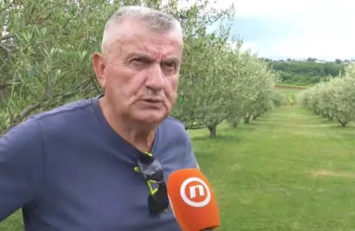 Video Capljinac Bozo Simunovic Vec 30 Godina Posvecen Maslinarstvu