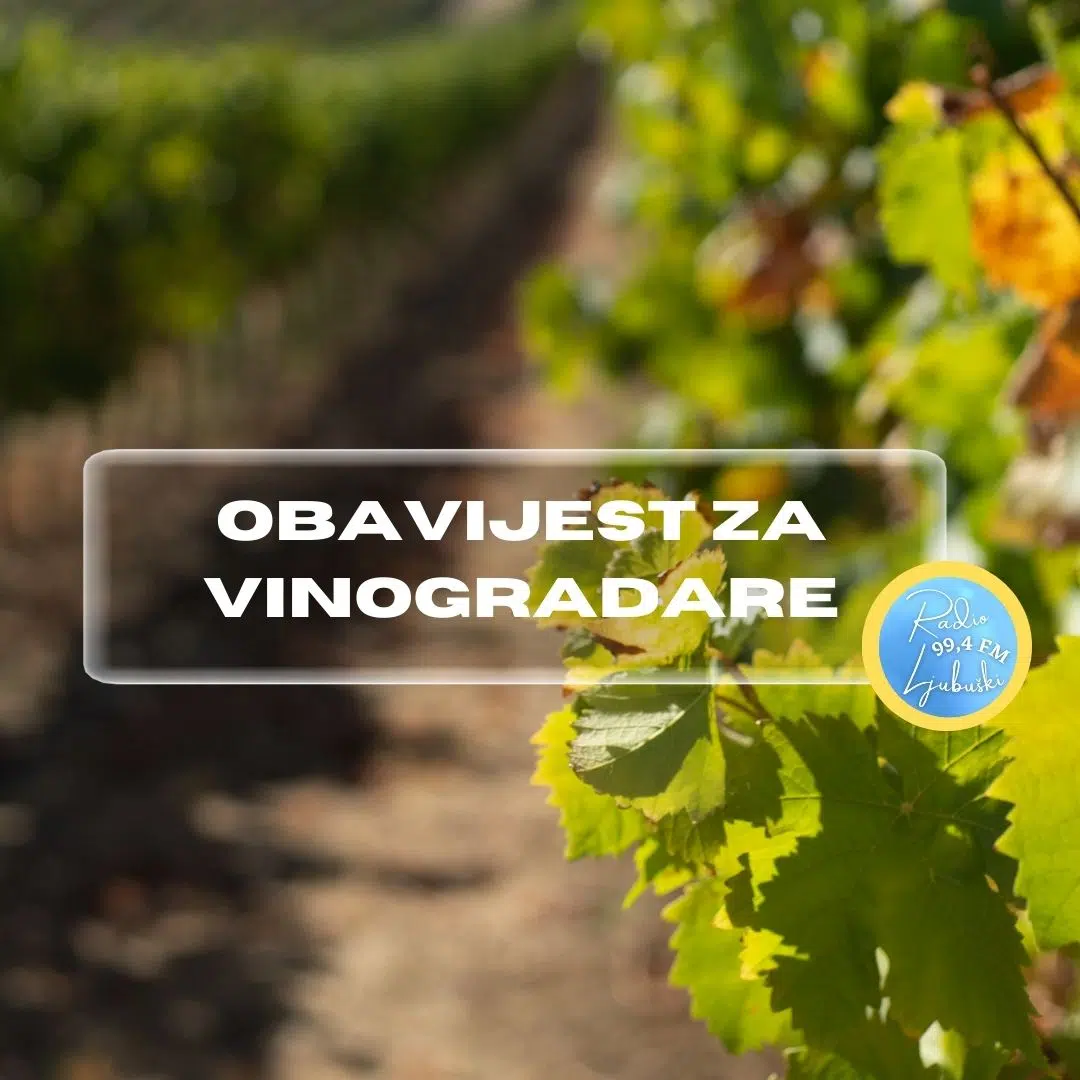 FAZ Mostar: Obavijest za vinogradare