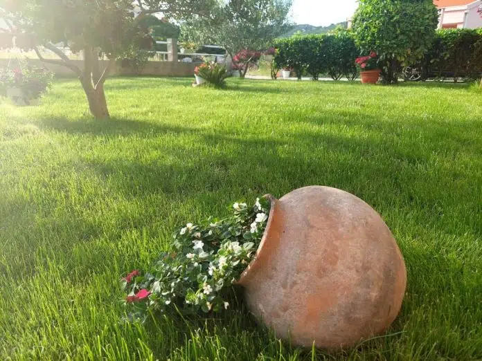 Izabranje Najljepsih Vrtova U Neumu