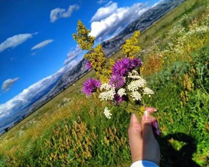 Dobro Jutro Iz Tomislavgrada Toplo I Vedro