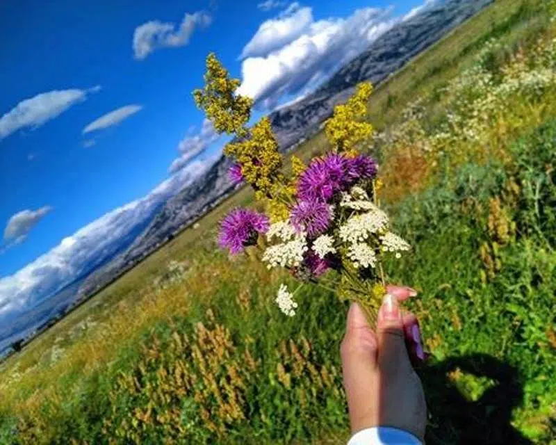 Dobro jutro iz Tomislavgrada – toplo i vedro!