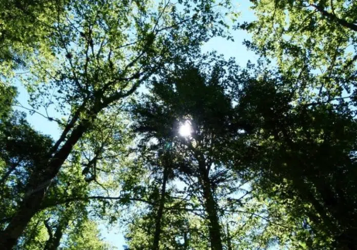 Dobro Jutro Iz Tomislavgrada Vecinom Suncano I Sparno
