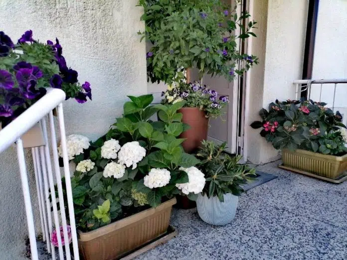 Dobro Vam Jutro Iz Tomislavgrada Vedro Toplo I Sparno
