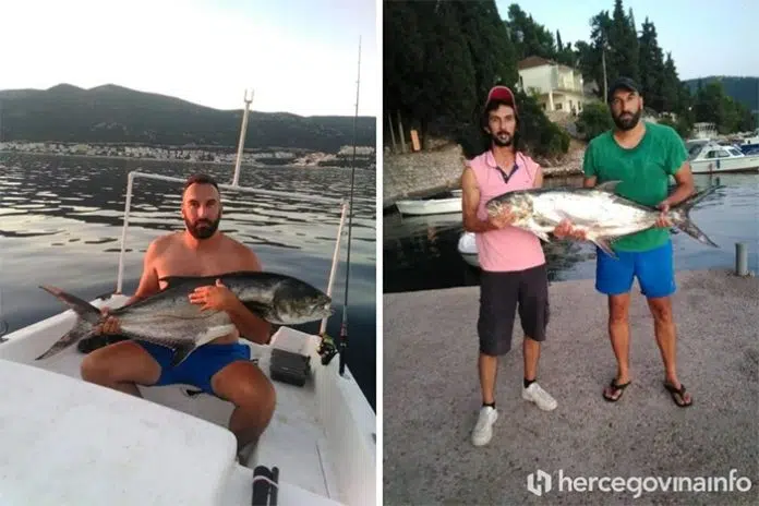 Fotovideo Iskusni Ribari Iz Neumskog Zaljeva Uhvatili Licu Bjelicu