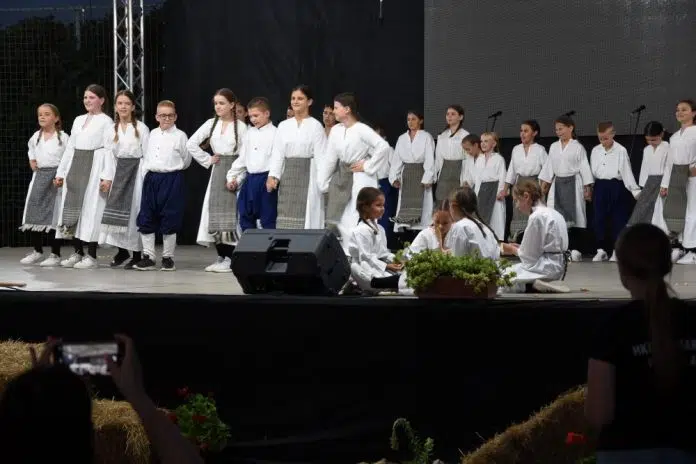 Počele su 13. tradicionalne Međunarodne večeri folklora „Vionica 2024.“ koje Pocele Su 13 Tradicionalne Medunarodne Veceri Folklora „Vionica 2024 Koje