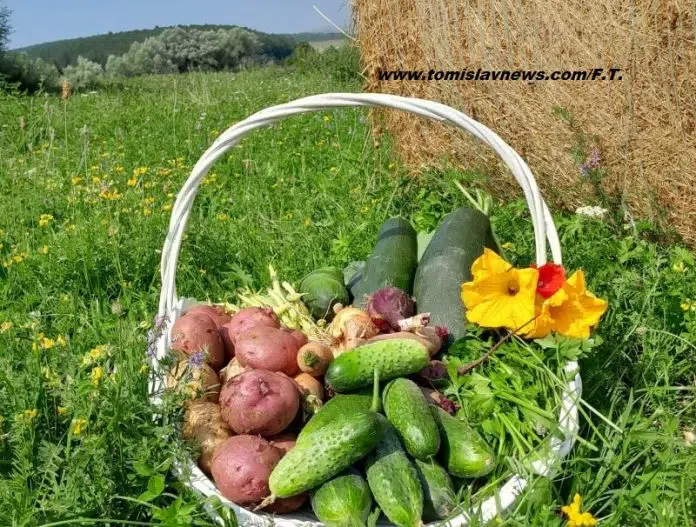 Ugodno Jutro S Umereno Suncanim Vremenom Iz Tomislavgrada