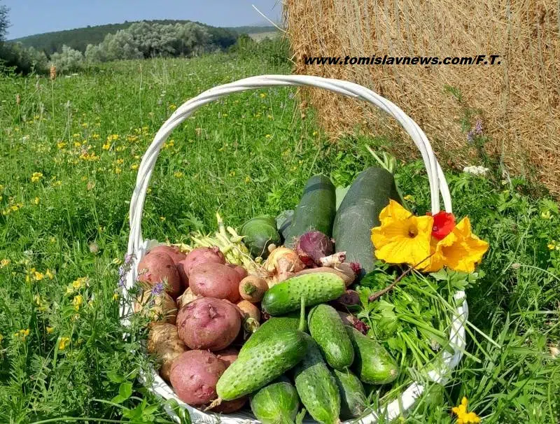 Ugodno jutro s umereno sunčanim vremenom iz Tomislavgrada!
