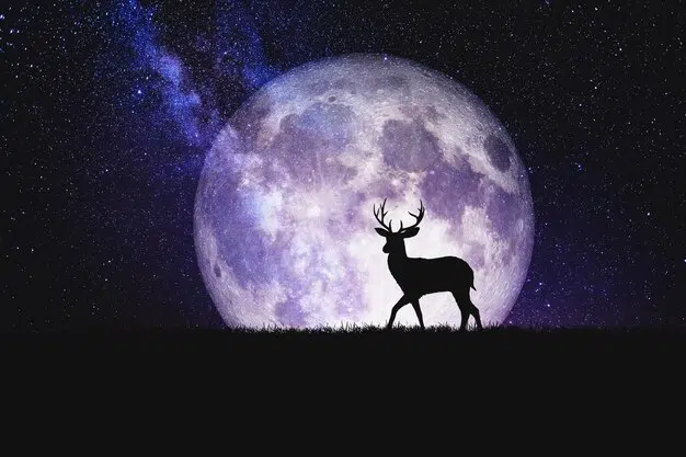 Znakovi Zodijaka Koji Lako Izrazavaju Misli I Emocije