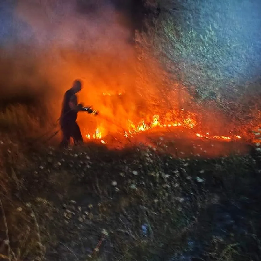 Tri dana su ljubuški vatrogasci intervenirali na požarištima u Grabovniku, Gornjim Radišićima, Zvirićima, Brijači, Donjim Radišićima, Grabu i Vitini.