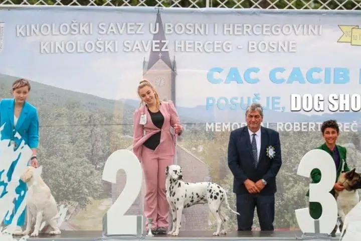 Međunarodna izložba pasa ove sedmice u Posušju