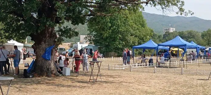 1724697194 Veliki Broj Izlagaca Na Izlozbi Pasa U Posusju Trijumf Spanjolskom