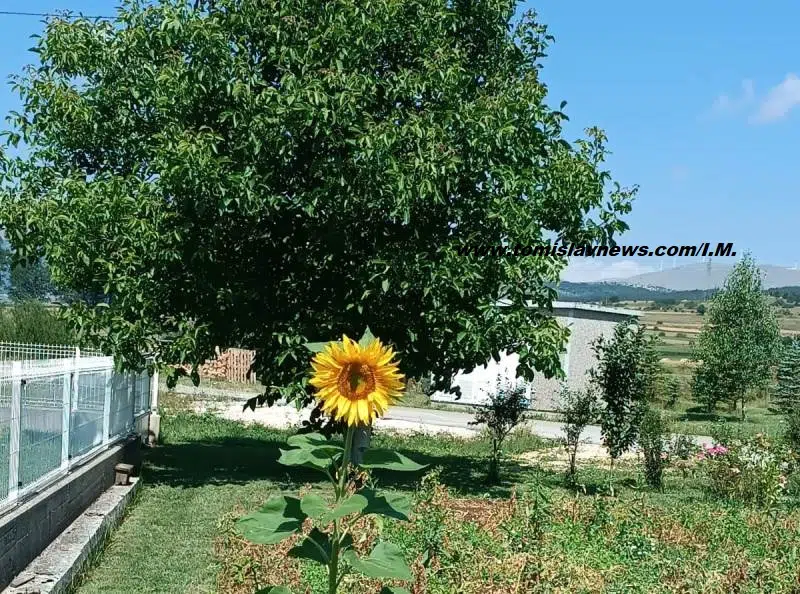 Dobro jutro! Topla i umjereno vedra jutarnja atmosfera iz Tomislavgrada.