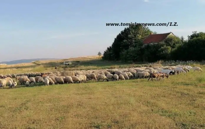 Dobro Jutro Iz Tomislavgrada Neka Vam Bude Vedro I Toplo