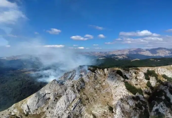 Vijeće ministara BiH zatražilo međunarodnu pomoć za suzbijanje požara. Vijece Ministara Bih Zatrazilo Medunarodnu Pomoc Za Suzbijanje Pozara