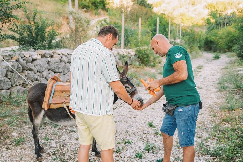 enis u mostaru: naše mjesto kakvo nema ni kalifornija