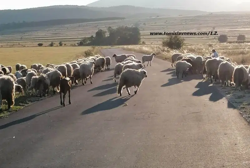 Dobro jutro i toplo pozdravljam vas iz Tomislavgrada!