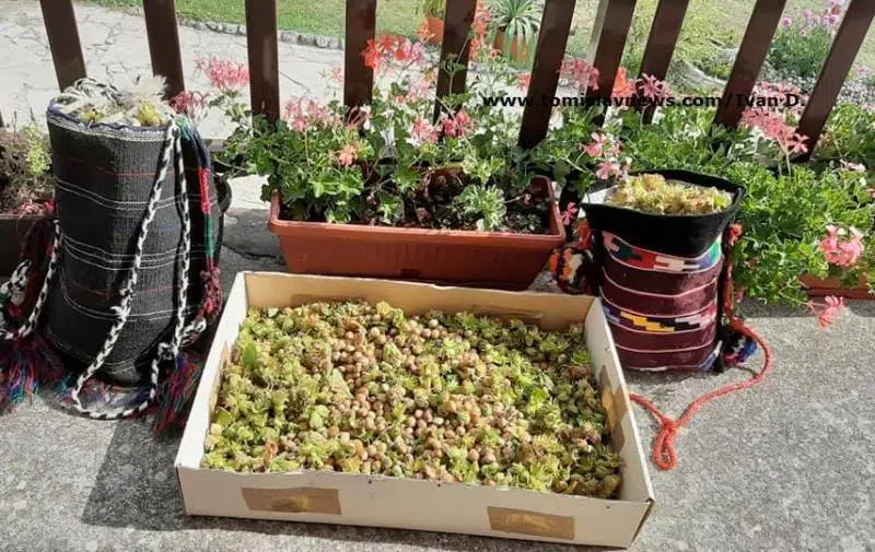 Dobro jutro iz Tomislavgrada: Umjereno oblačno i pohladno!