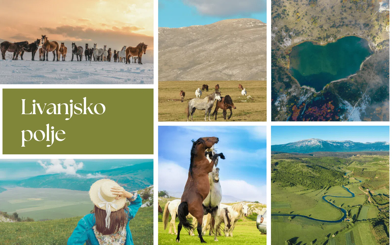 Livanjsko polje: Šapat vjetra i miris livade