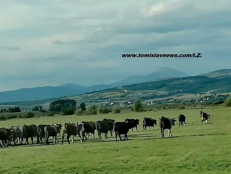 Uživajte u oblačnom i kišovitom jutru iz Tomislavgrada!