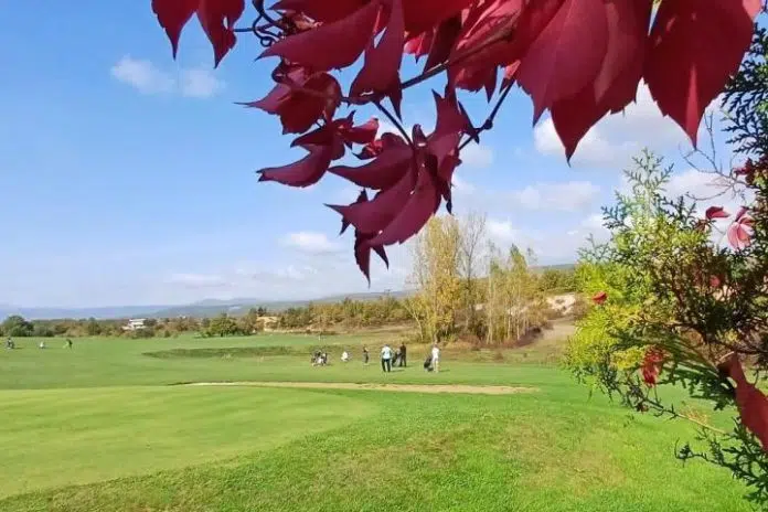1729692698 Topala Vinski Turnir U Golfu 2024