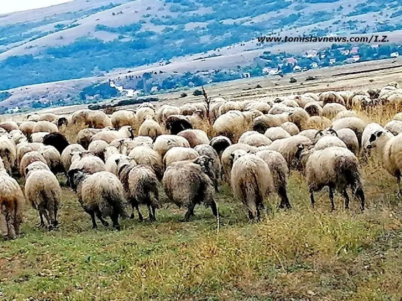Dobro jutro s umjerenom vedrinom i toplinom u Tomislavgradu!