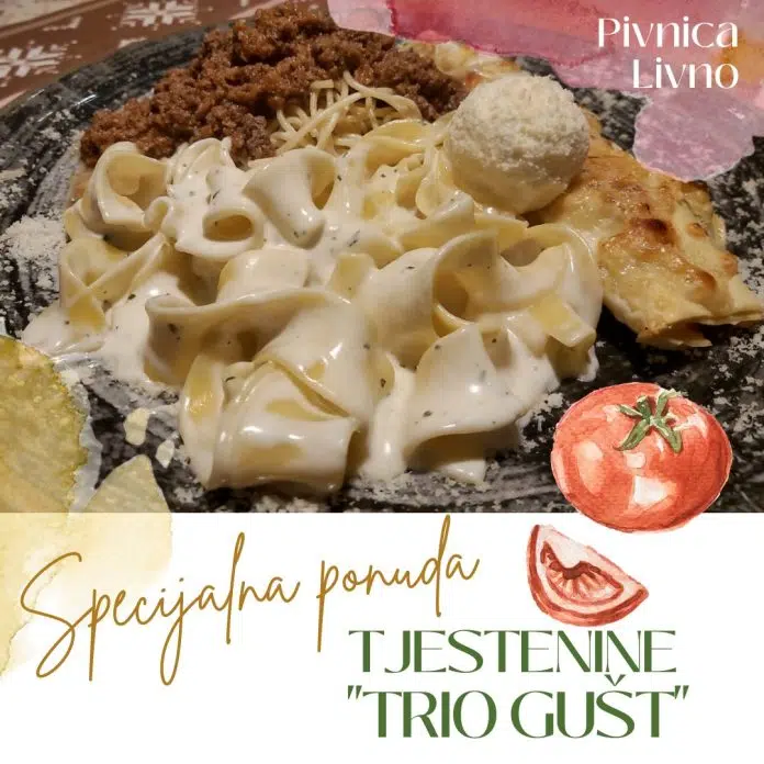 Koga Je Mup Prisluskivao Po Nalogu Livanjskog Suda