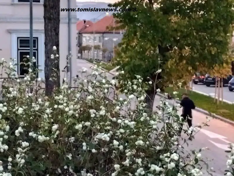 Ugodno i blago vedro nedjeljno jutro iz Tomislavgrada!