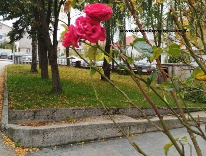 Video Suncano Jutro Uz Povjetarac U Tomislavgradu