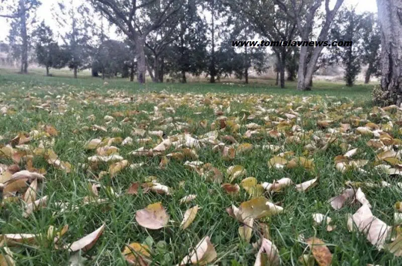 DOBRO vam vedro i prohladno jutro iz Tomislavgrada!