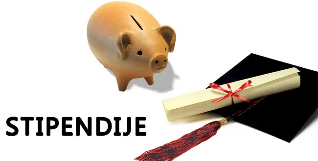 Ministarstvo Prosvjete Znanosti Kulture I Sporta Hnz Natjecaj Za Dodjelu