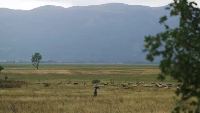 Centar za životnu sredinu: Zašto je važno zaštititi Livanjsko polje