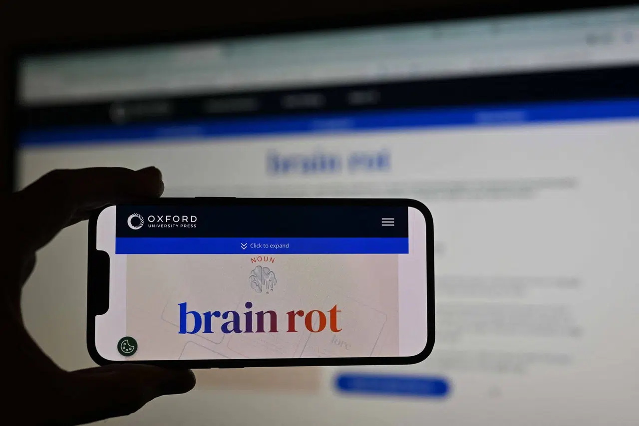 SKROLATE PREDUGO? / Znate li što je ‘Brain rot’? Riječ 2024. godine, a evo što znači