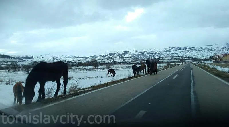 Zbog snijega, vjetra i divljih konja usporen promet na dionici Šujica – Livno