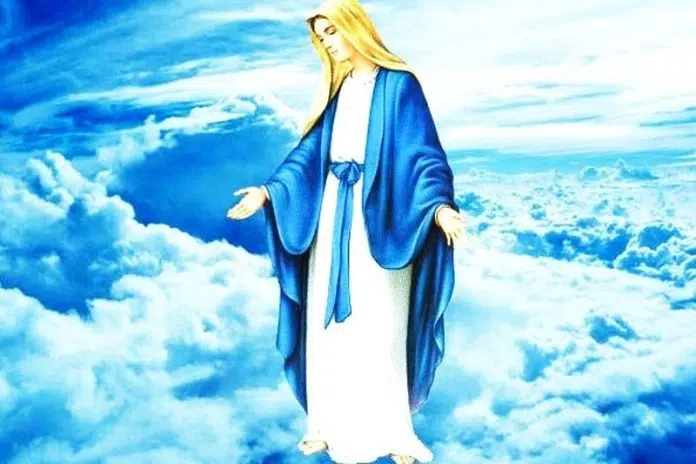 Nova godina i dar vremena