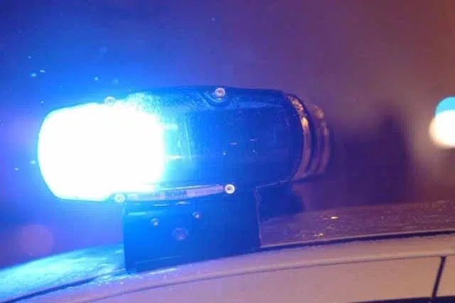 Policija-uhitila-mladica-23-sumnja-se-da-je-ubio-majku.jpg