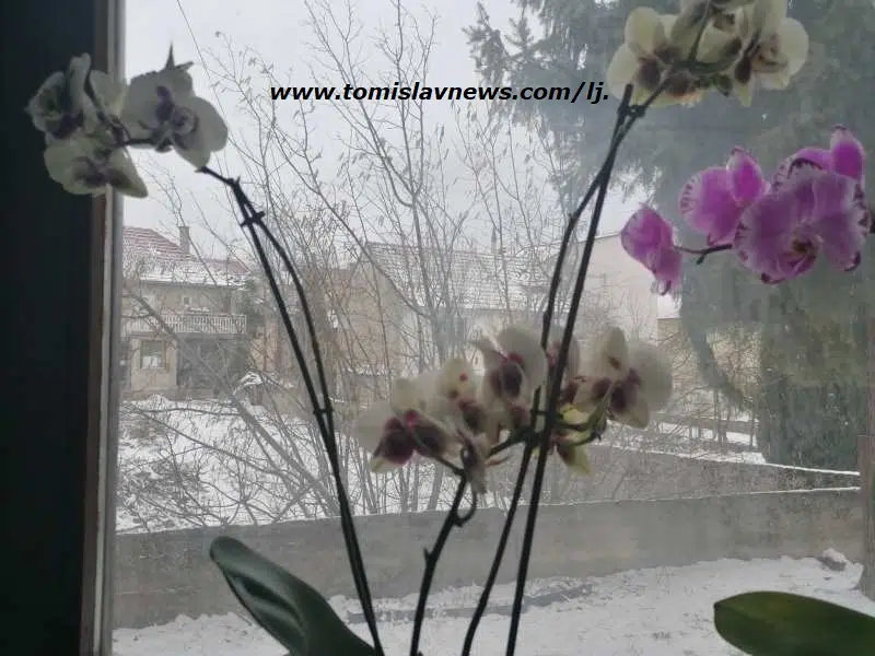 DOBRO vam umjereno oblačno i hladno jutro iz Tomislavgrada!