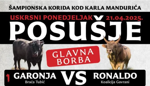 Spektakl u Posušju: Ne propustite Šampionsku koridu kod Karla Mandurića