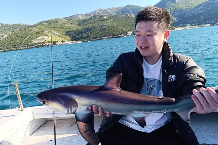 FOTO/VIDEO | Morski pas lisica snimljen u neumskom akvatoriju, jedan vraćen u more