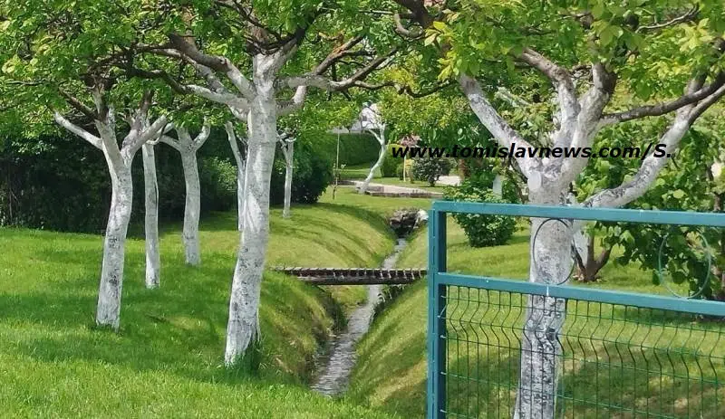 VIDEO: DOBRO vam umjereno oblačno jutro iz Tomislavgrada!