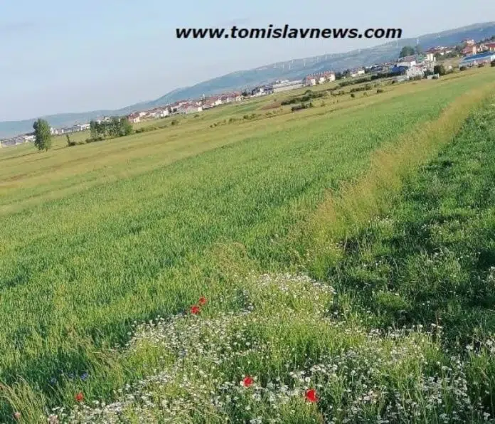DOBRO vam vedro i toplo jutro iz Tomislavgrada!