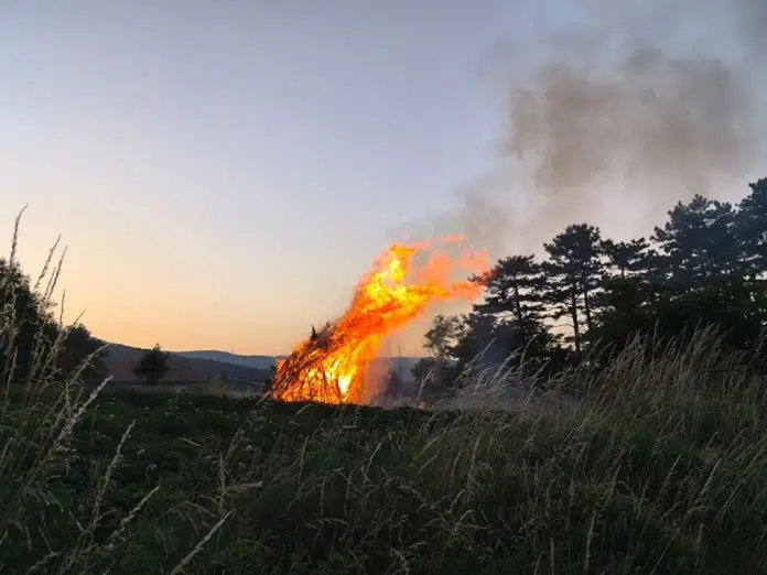 Naši svitnjaci ususret Sv. Ivanu 2025. (foto/video)