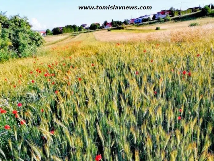 FOTO/VIDEO: DOBRO vam vedro i toplo jutro iz Tomislavgrada!