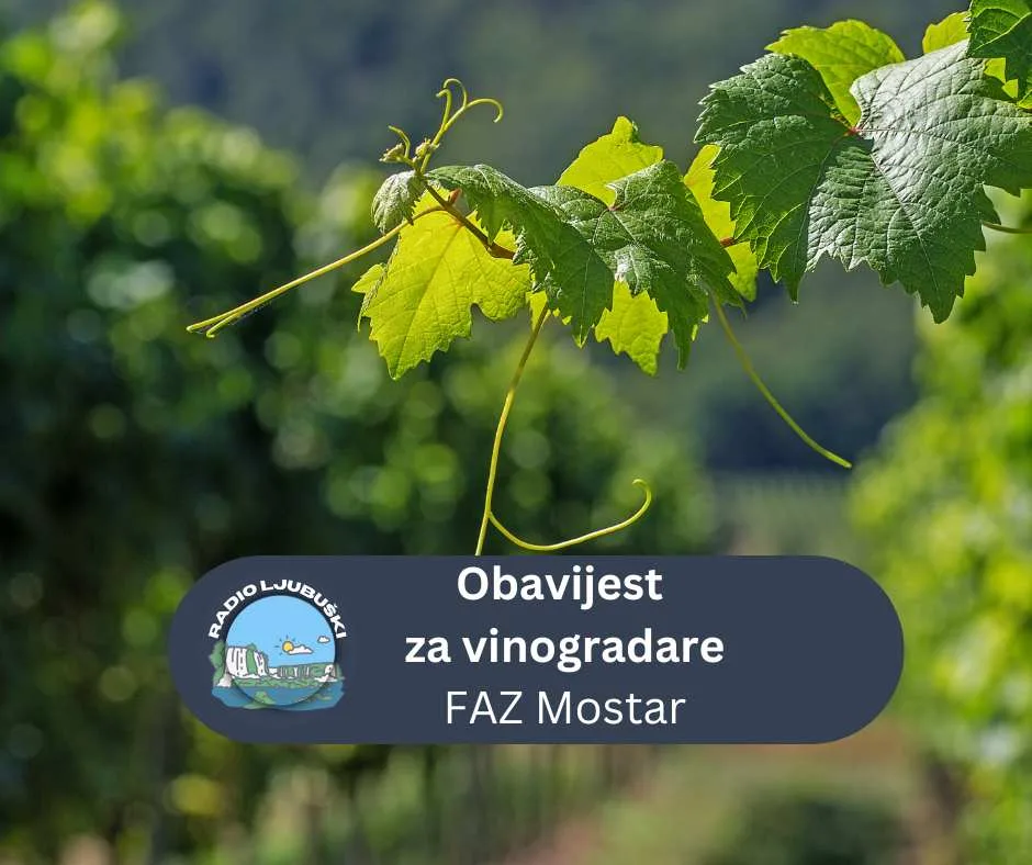 FAZ Mostar:Obavijest za vinogradare