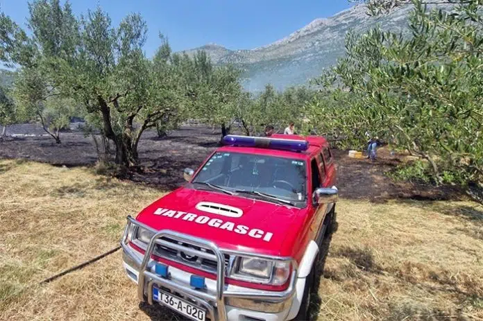FOTO | Broćanac: Gorjelo blizu kuća i maslinika, vatrogasci zaustavili