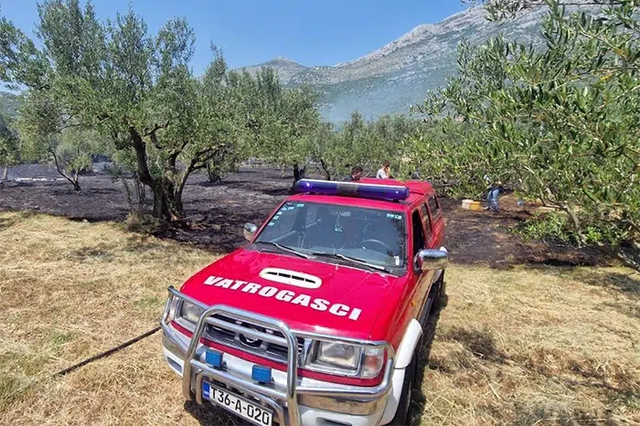 FOTO | Broćanac: Gorjelo blizu kuća i maslinika, vatrogasci zaustavili širenje požara
