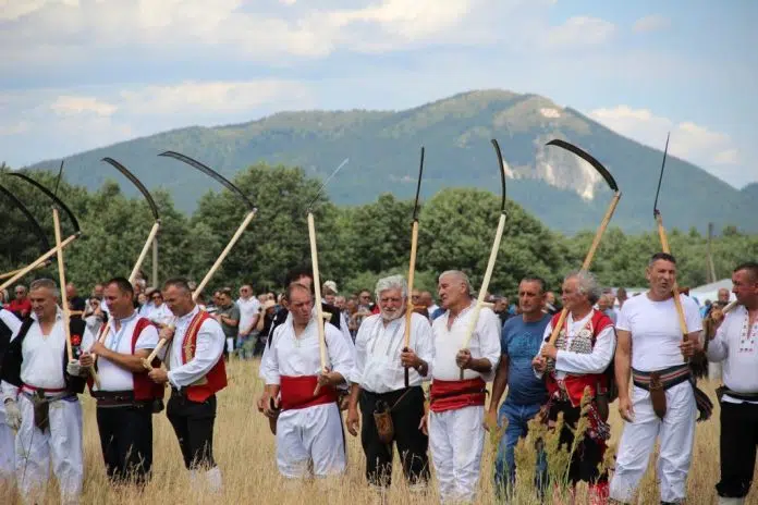 Strljanica kroz objektiv Petre Mršo