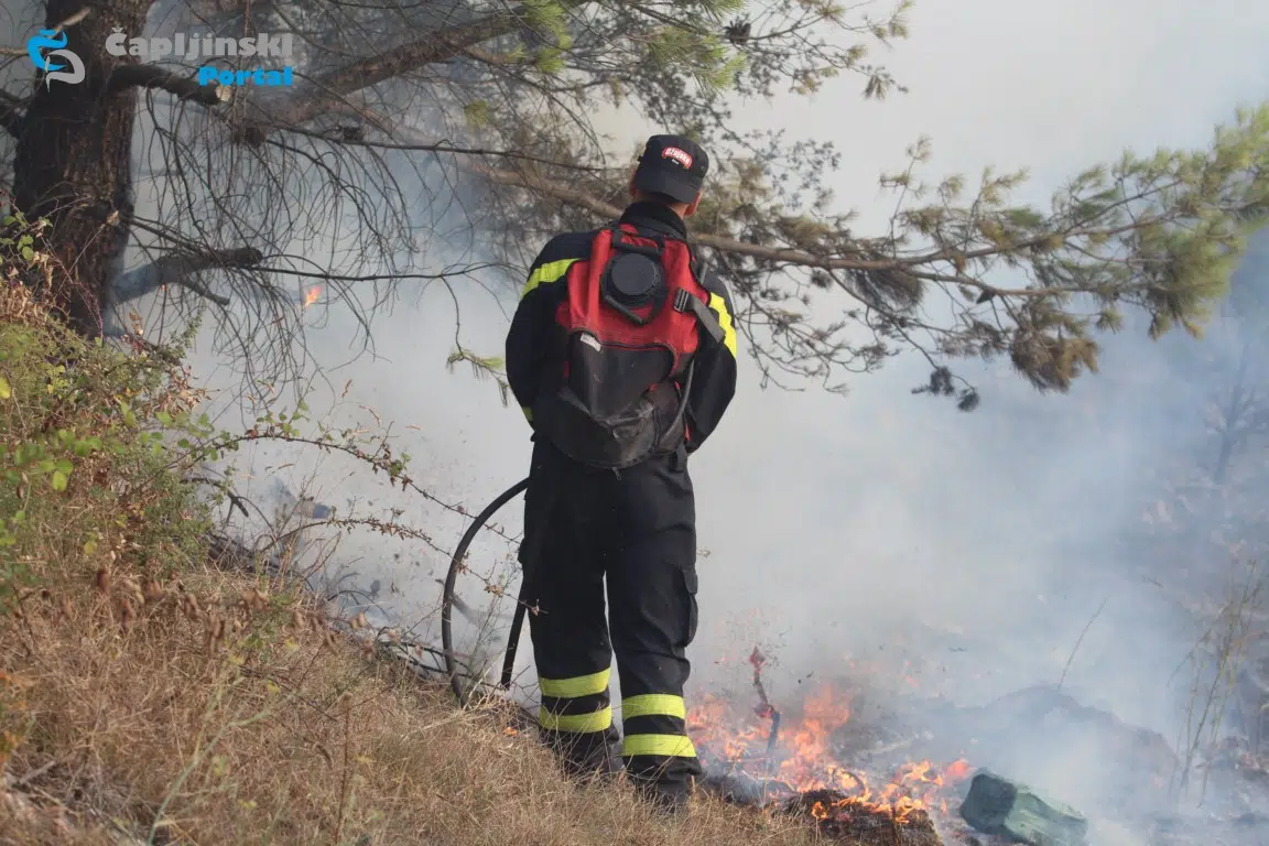 FOTO | Veliki požar u Strugama: Vatrogasci brzom intervencijom stavili vatrenu stihiju pod kontrolu