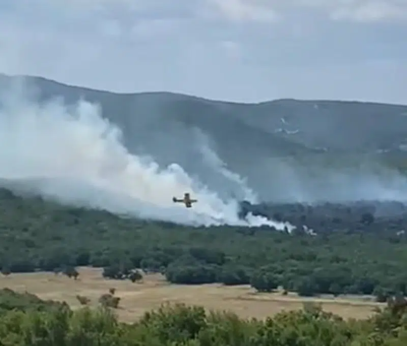 Air Tractor od lipnja do kolovoza gasio požare na 15 lokacija širom FBiH